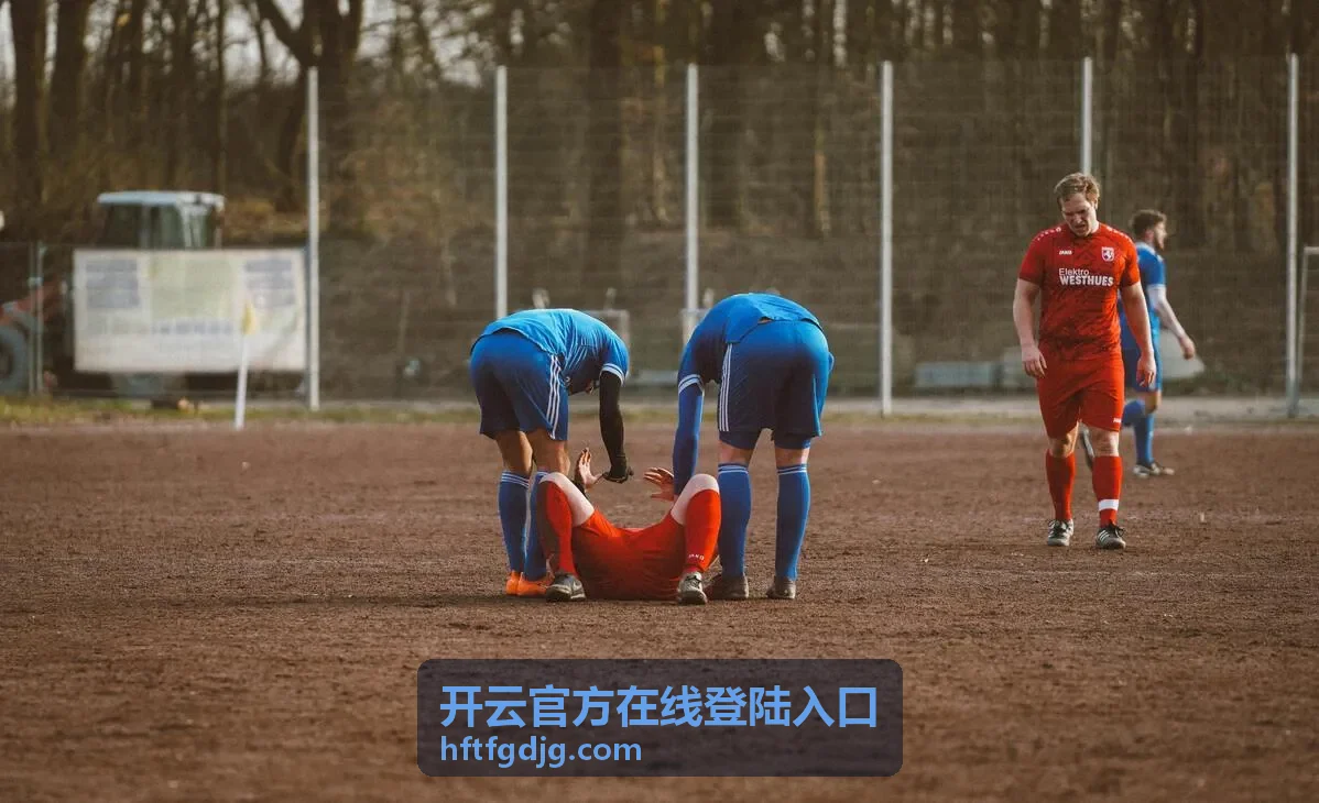 开云官方在线登陆入口统计口径与数据处理方式说明图